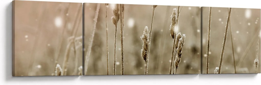 Obraz - Harmonious Meadow (170x50 cm)