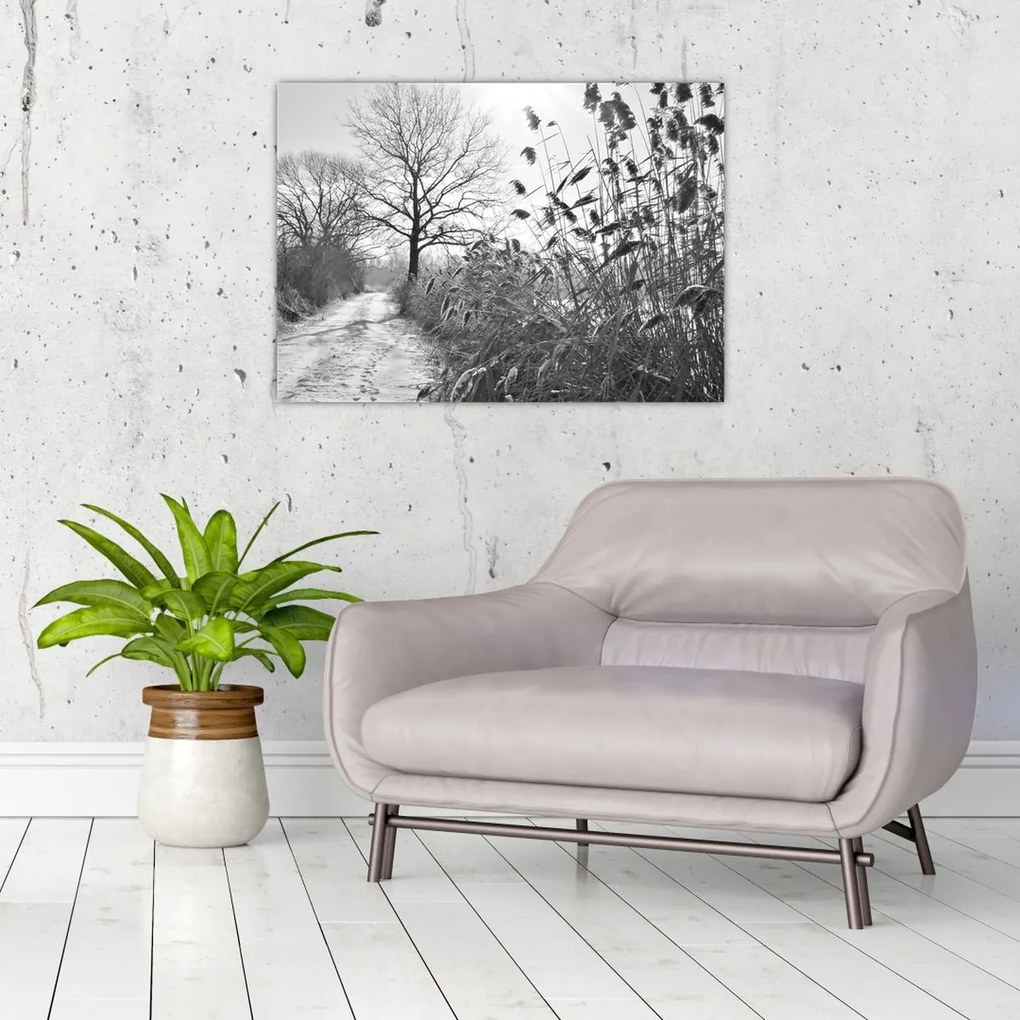 Obraz na szkle - Pola w zimie (70x50 cm)
