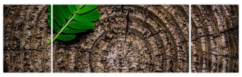 Obraz liścia na pniu drzewa (170x50 cm)