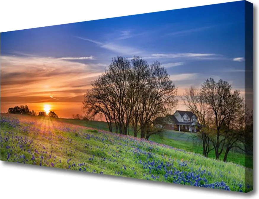 Obraz canvas Słoneczna Polana o Poranku