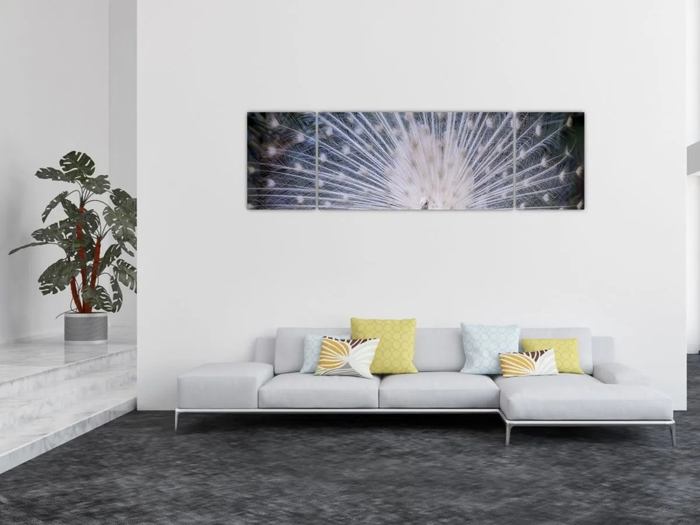 Obraz - Biały paw (170x50 cm)
