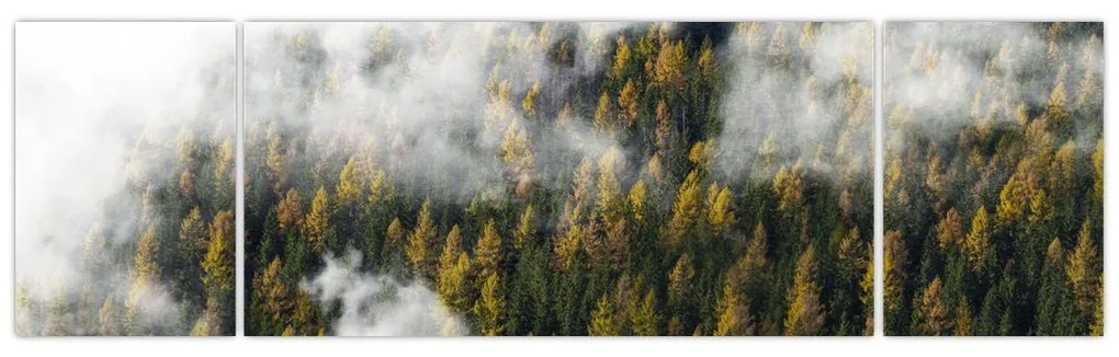 Obraz lasu w chmurach (170x50 cm)