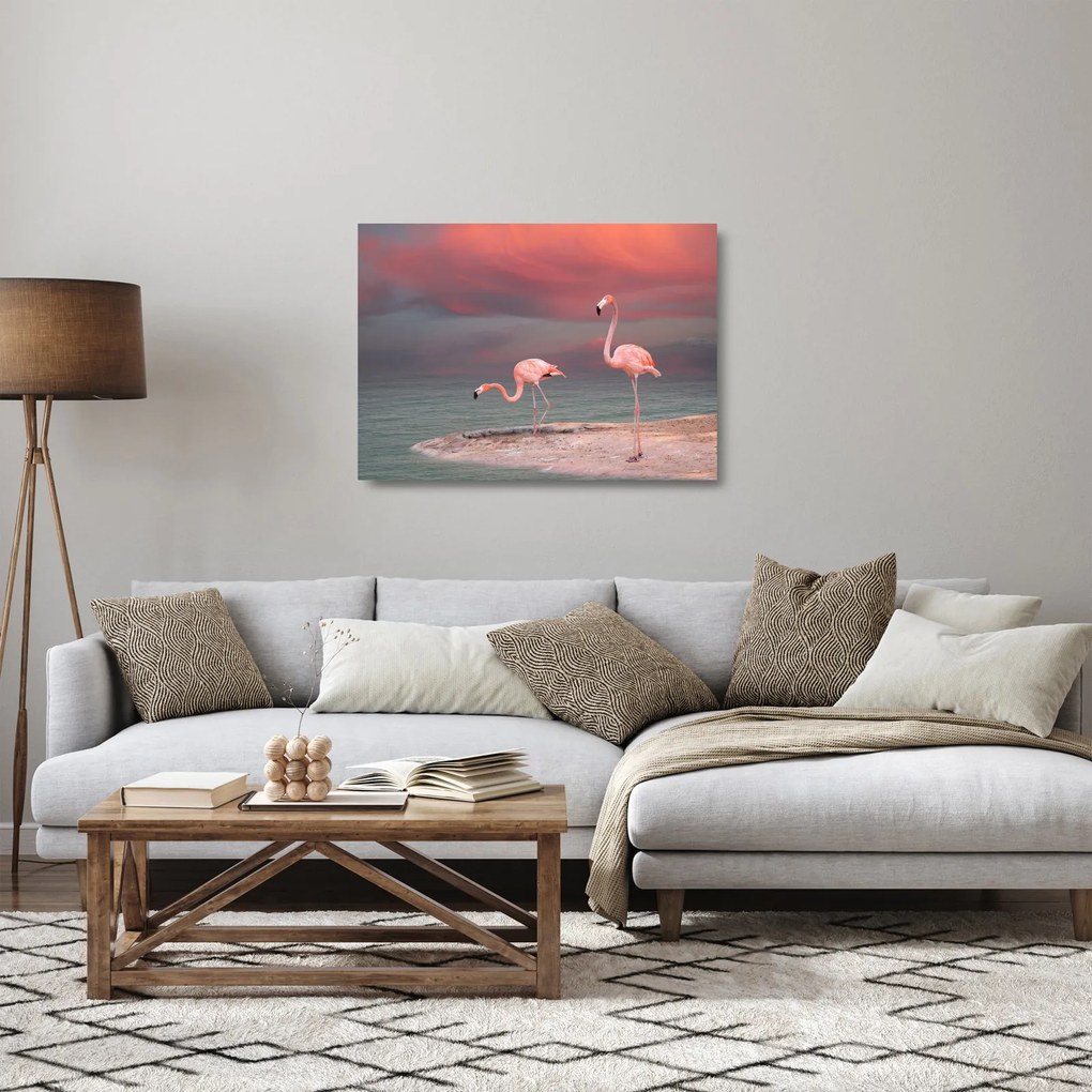 Obraz na szkle flamingów (70x50 cm)