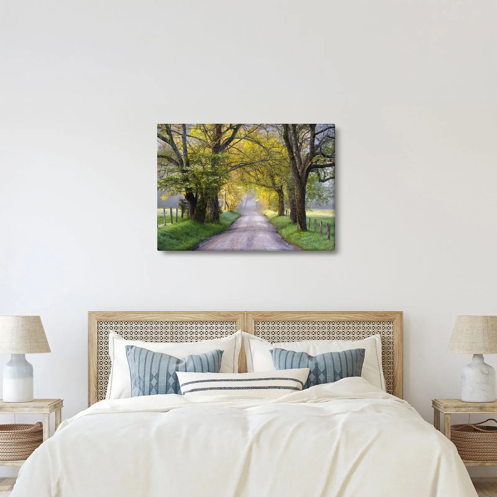 Zdjęcie - Smoky Mountains, Gatlinburg, USA (70x50 cm)