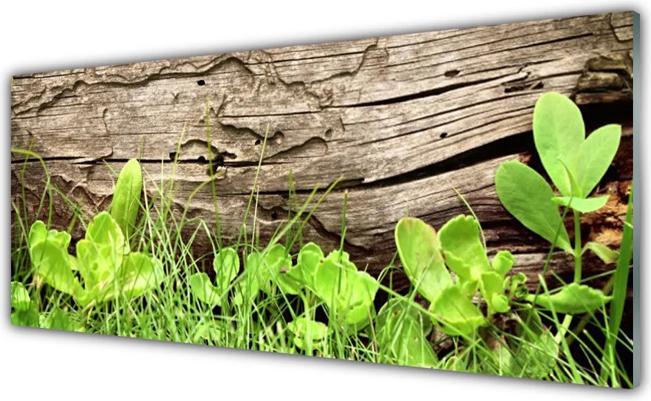 Panel Szklany Kwiaty Ukryte w Trawie