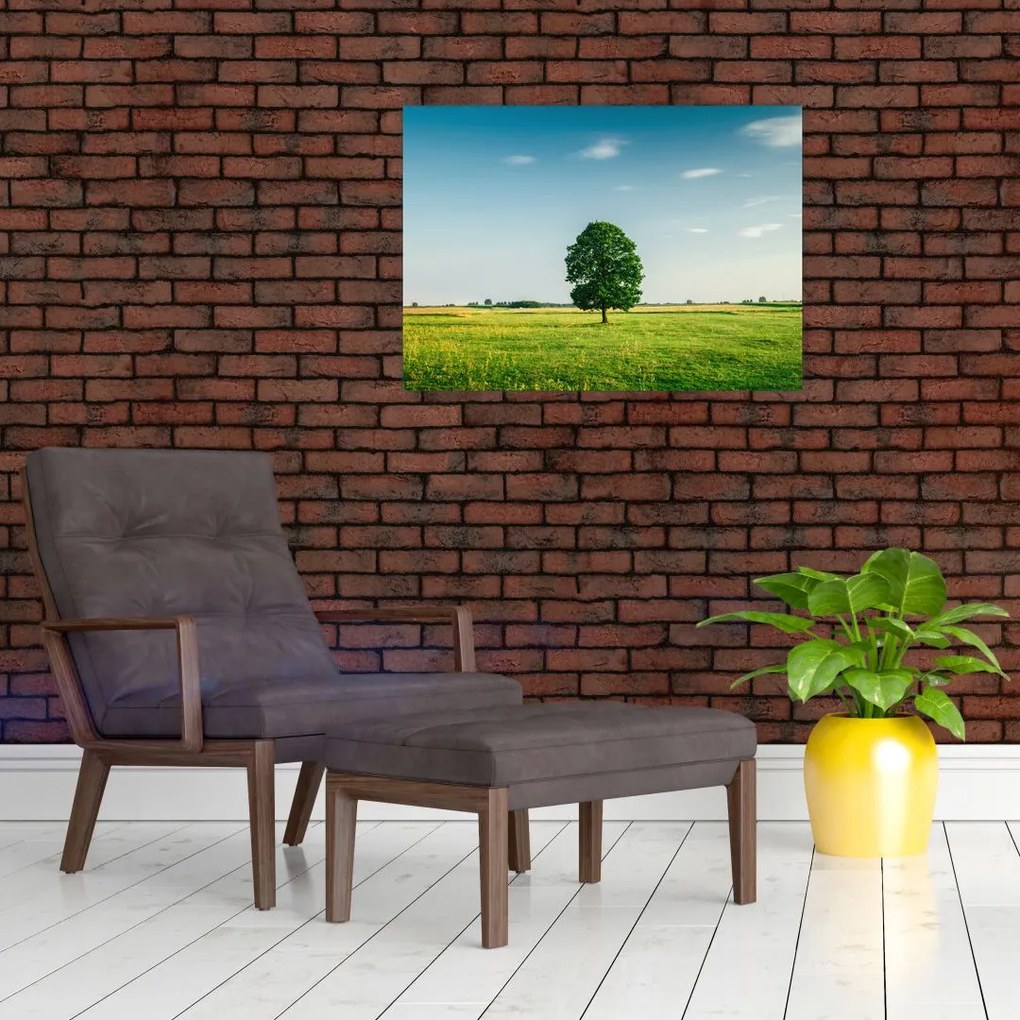 Obraz na szkle drzewa na środku łąki (70x50 cm)