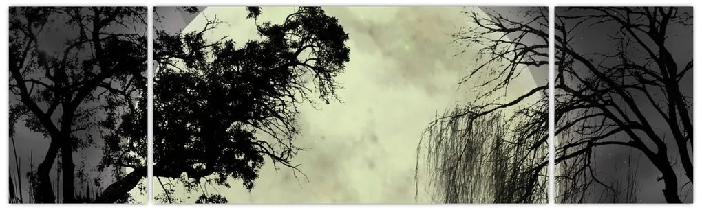 Obraz - Księżyc w pełni nad powierzchnią, wersja czarno - biała (170x50 cm)