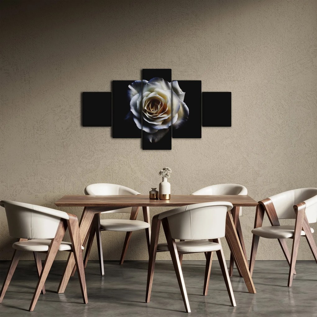 Obraz białej róży (125x70 cm)