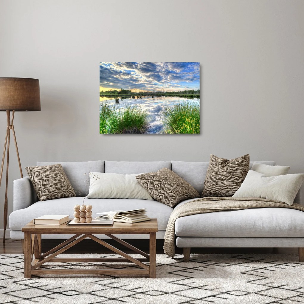 Obraz na szkle jeziora z trzcinami (70x50 cm)
