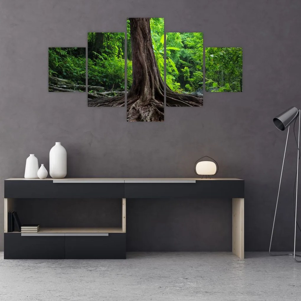 Obraz - Stare drzewo z korzeniami (125x70 cm)