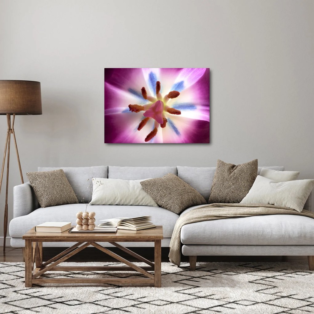 Obraz - Kwiat tulipana w szczegółach (70x50 cm)