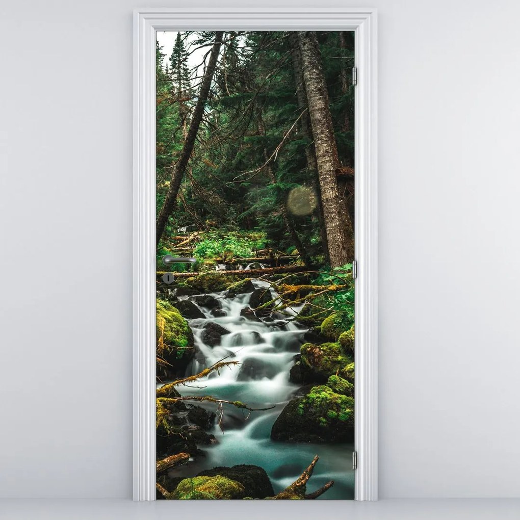 Fototapeta na drzwi - Strumień w lesie (95x205cm)