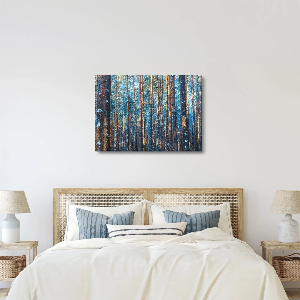 Obraz - Zimowy las (70x50 cm)