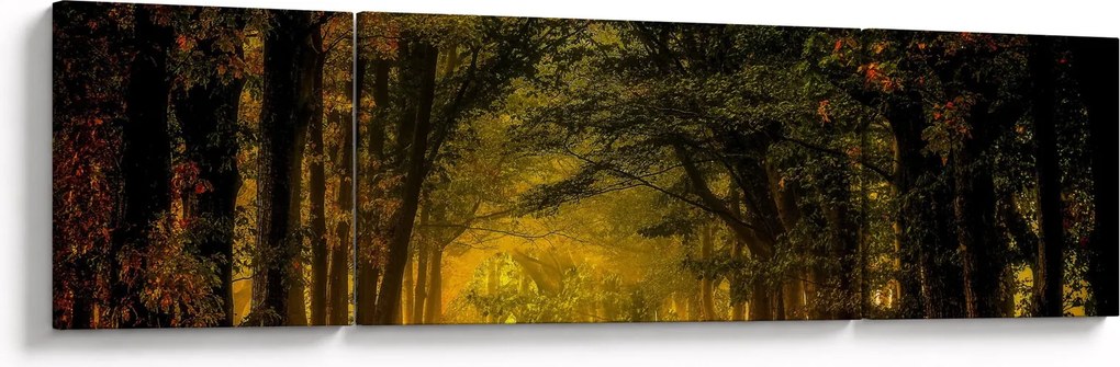 Obraz lasu (170x50 cm)