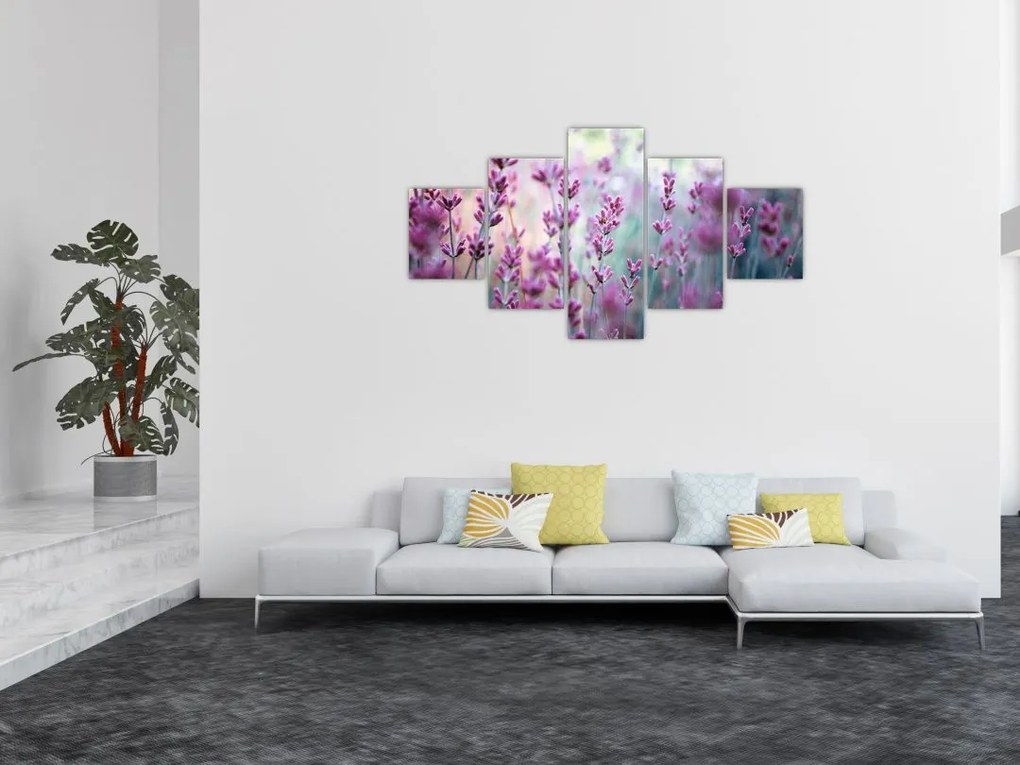Obraz - Lawenda (125x70 cm)