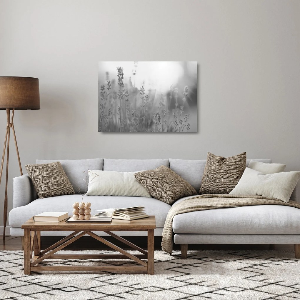 Obraz na szkle - Lawenda (70x50 cm)