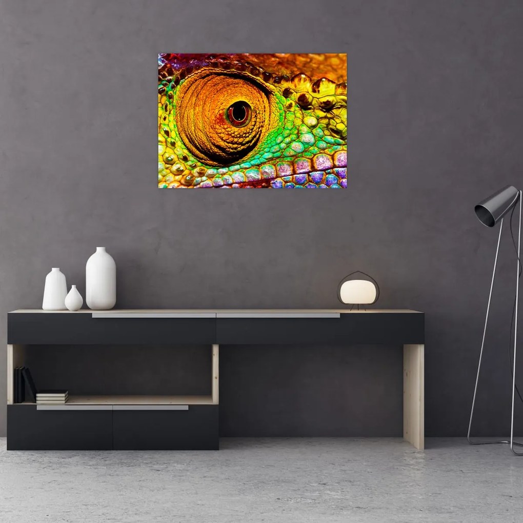 Obraz - Kameleon (70x50 cm)