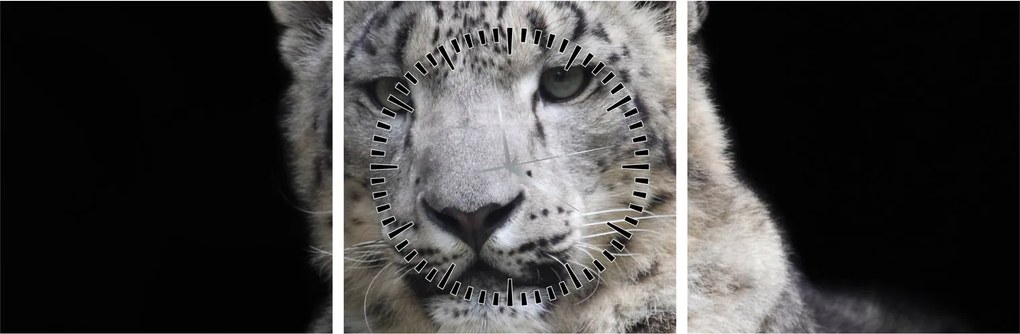 Obraz - Snow Leopard (z zegarem) (90x30 cm)