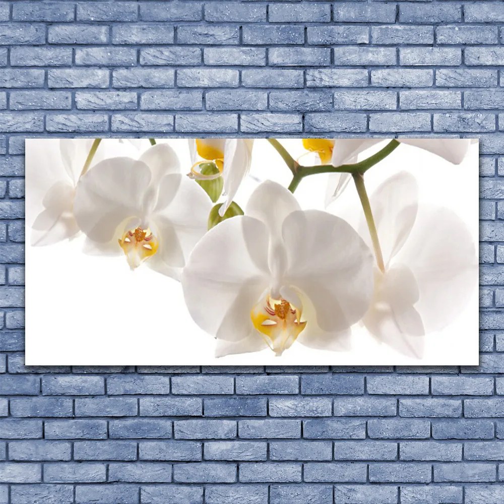 Obraz Canvas Orchidea Kwiaty Natura