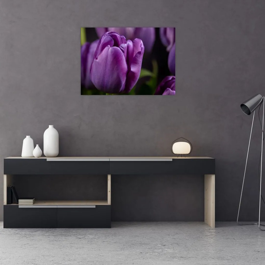 Obraz kwiatów tulipanów (70x50 cm)