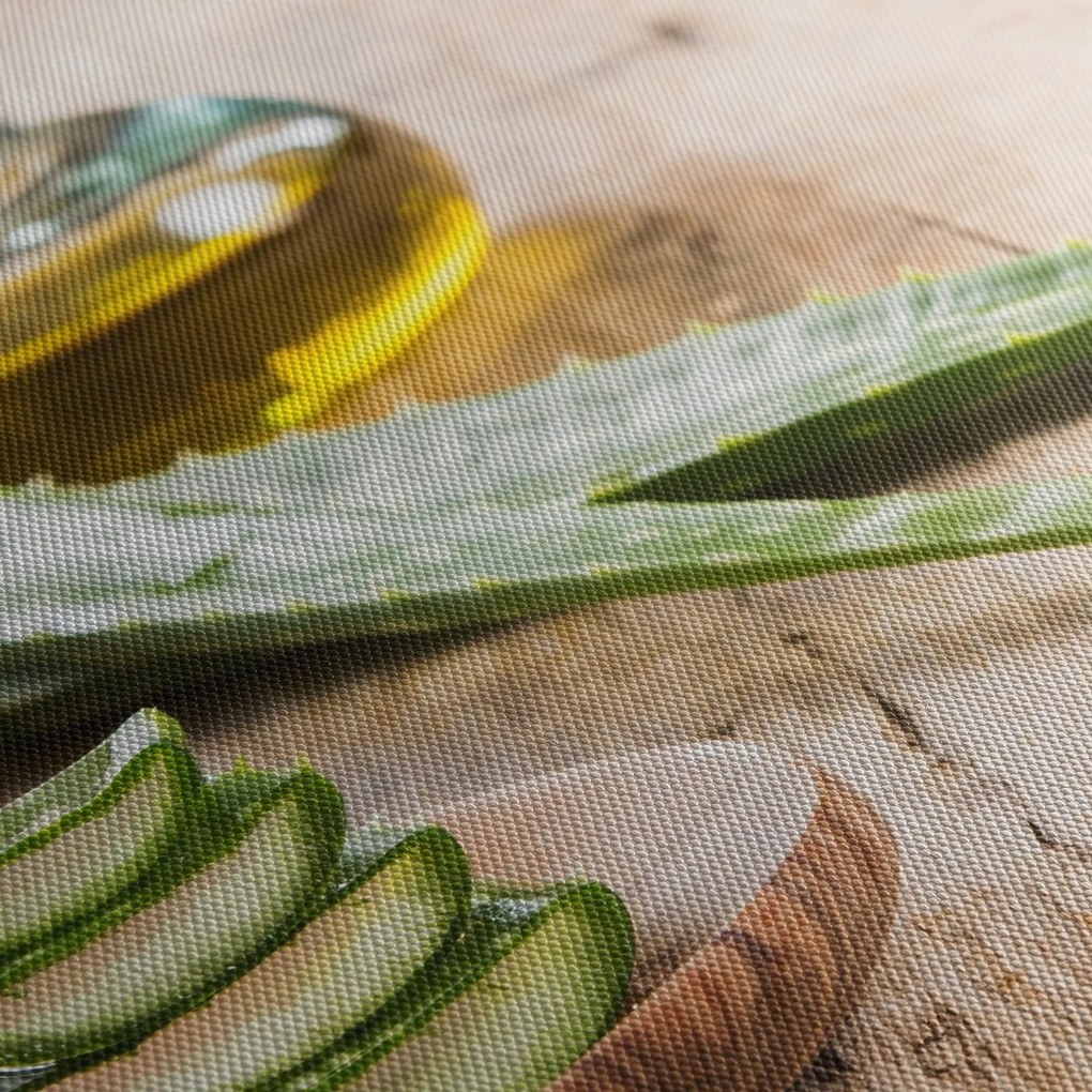 Obraz - Aloes (170x50 cm)