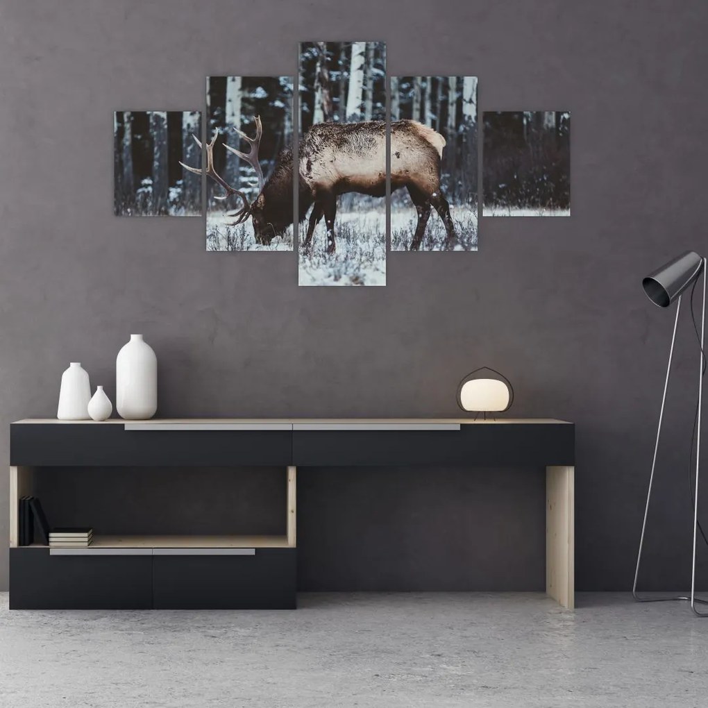 Obraz - jeleń zimą (125x70 cm)
