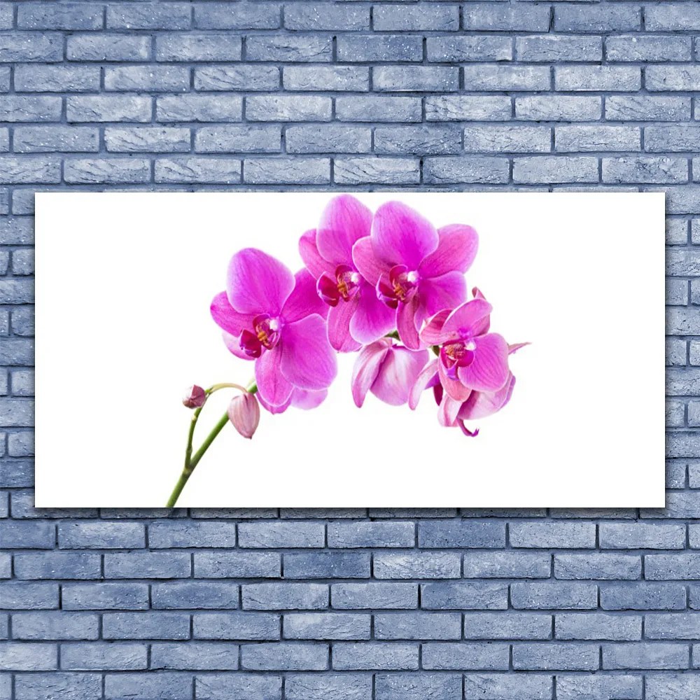 Obraz Szklany Storczyk Kwiat Orchidea