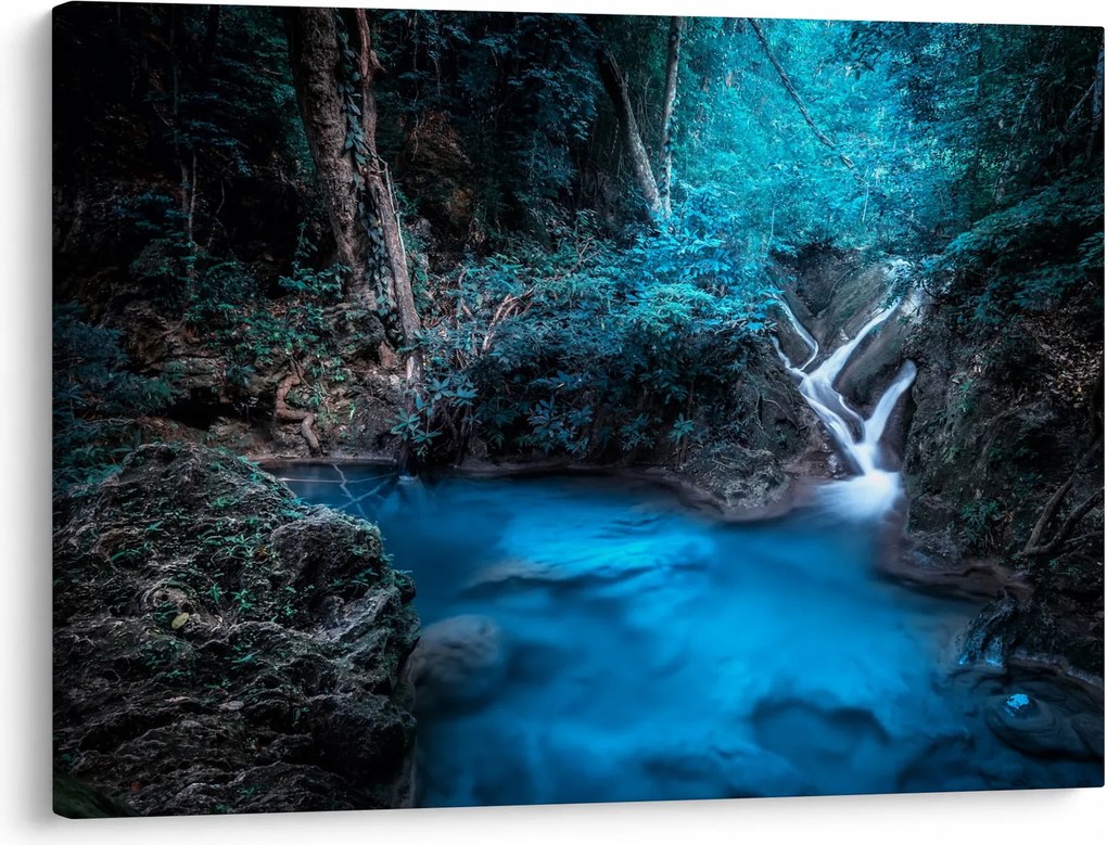 Obraz - Magiczna noc w tropikalnym lesie (70x50 cm)