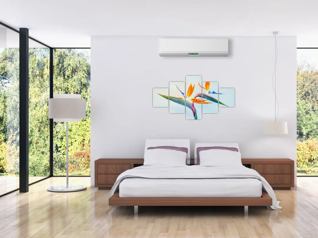 Obraz kwiatu Strelicji (125x70 cm)