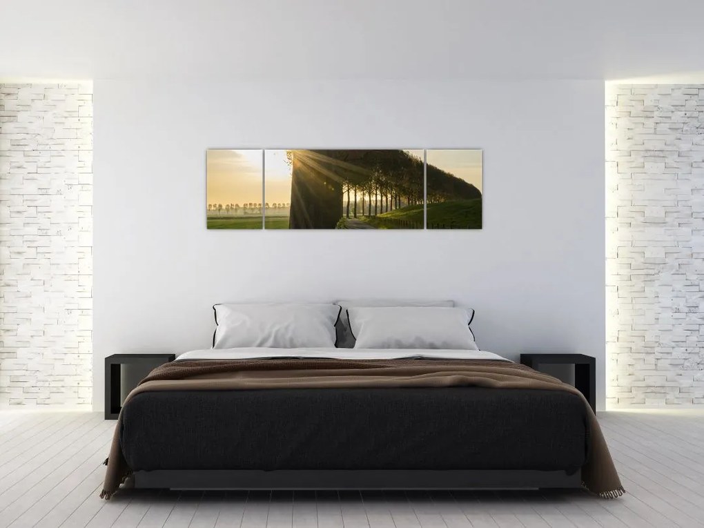 Obraz alei (170x50 cm)