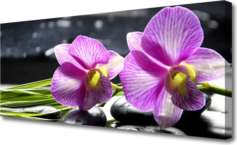 Obraz na płótnie Feeria Kwiatowych Barw