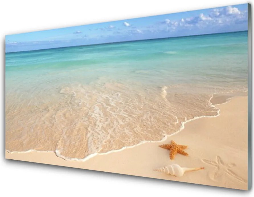 Szkło do Kuchni na Ścianę Rozgwiazda Na Piasku