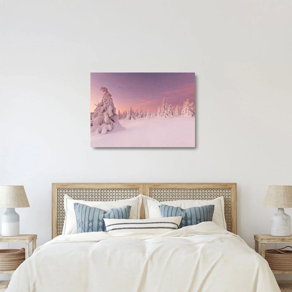 Obraz na szkle - Drzewa pod warstwą śniegu (70x50 cm)