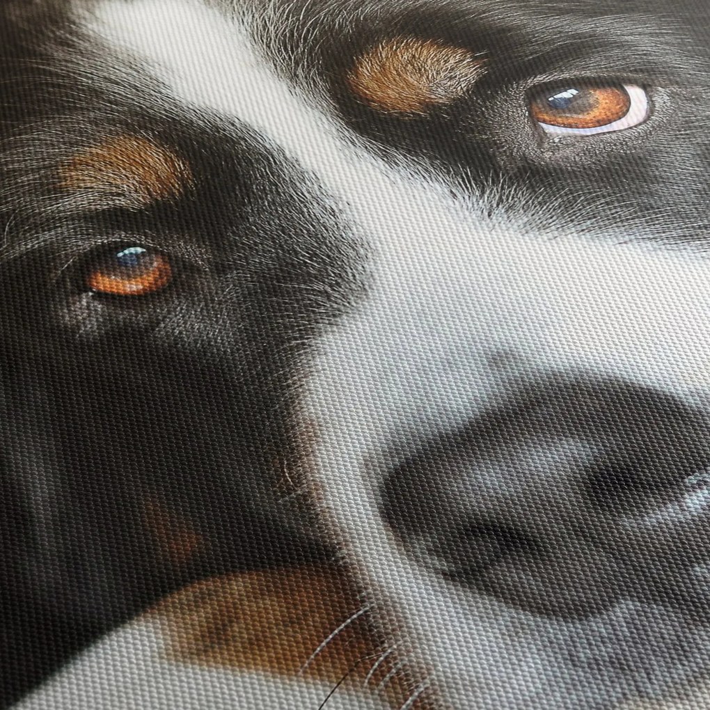Obraz psa (z zegarem) (90x30 cm)