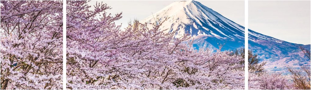 Obraz - Japonia wiosną (170x50 cm)