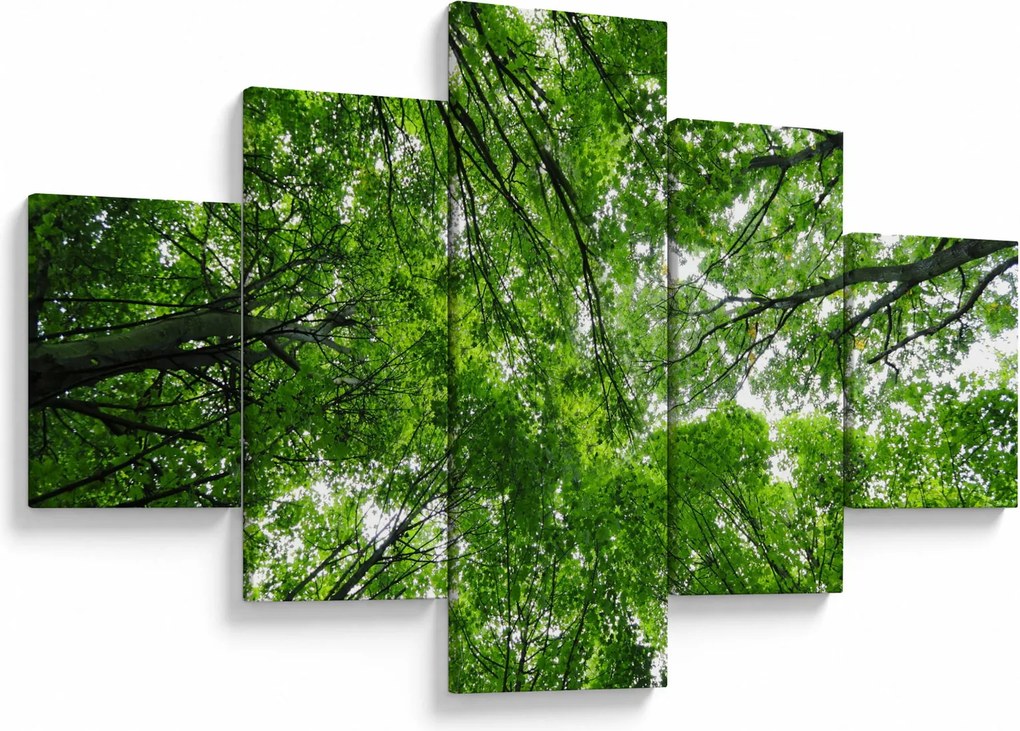 Obraz - Widok do korony drzewa (125x70 cm)