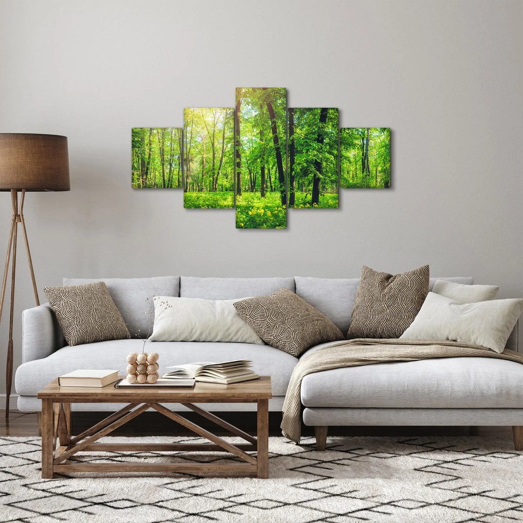 Obraz - Wiosenny las liściasty (125x70 cm)