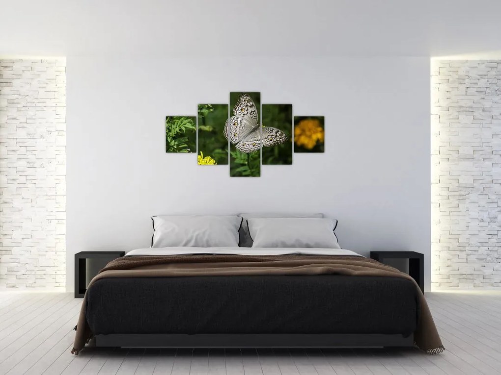 Obraz - biały motyl (125x70 cm)