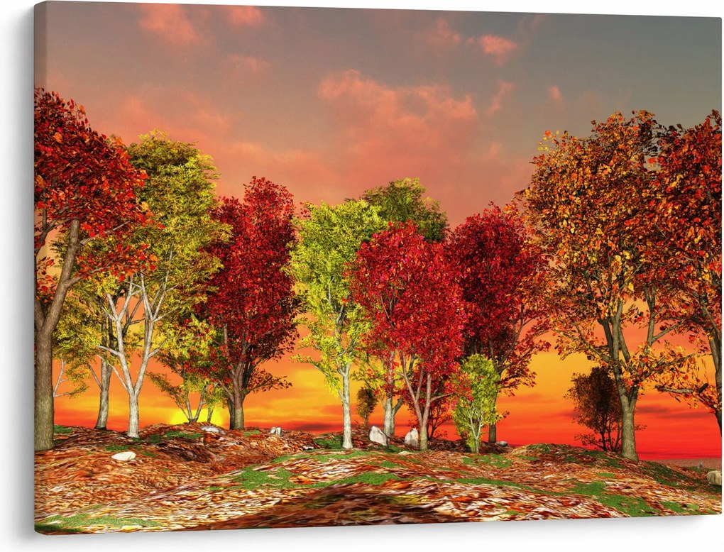 Obraz - Kolorowe drzewa (70x50 cm)