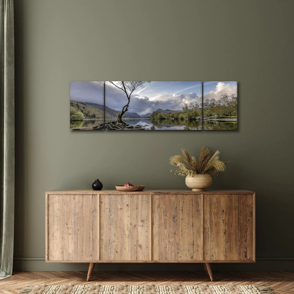 Obraz rzeki z drzewem (170x50 cm)
