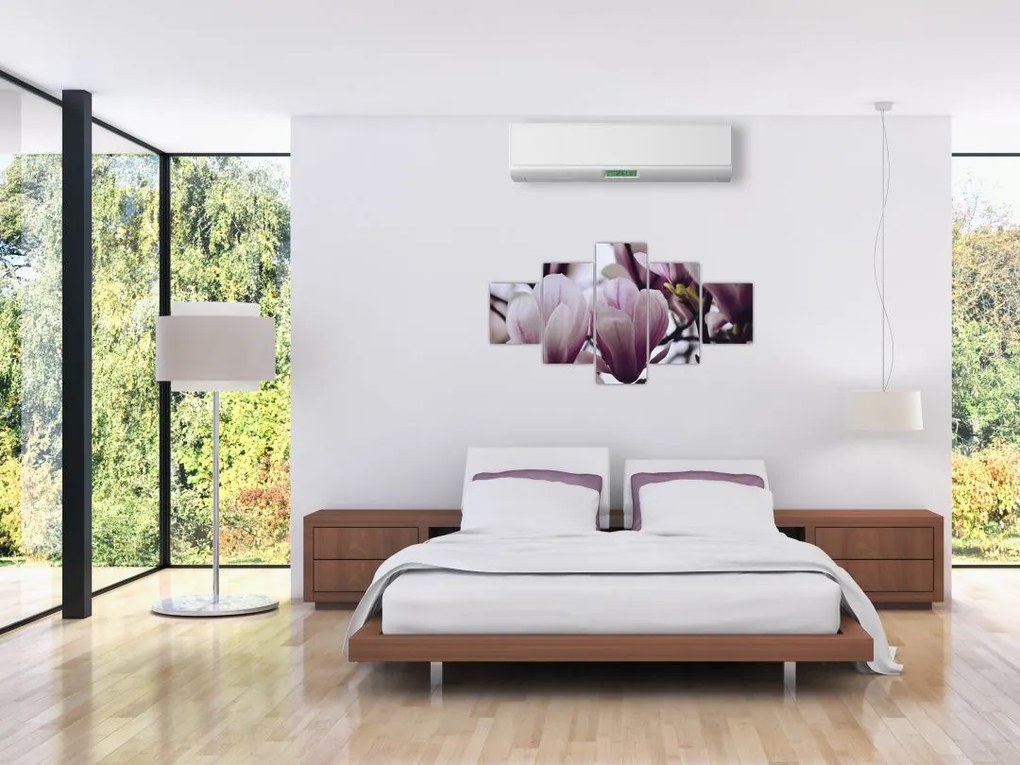 Obraz - Magnolia (125x70 cm)