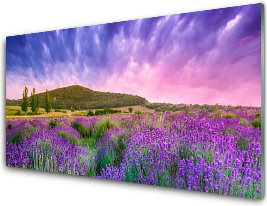 Szkło do Kuchni na Ścianę Alpejska Łąka W Kwiatach