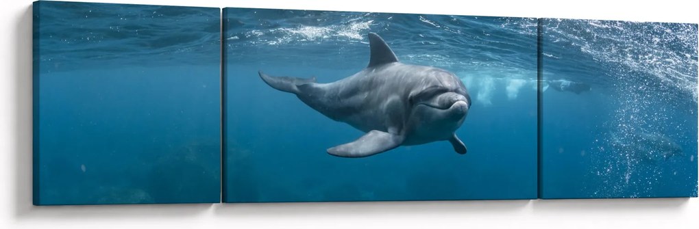 Obraz - Delfin pod wodą (170x50 cm)