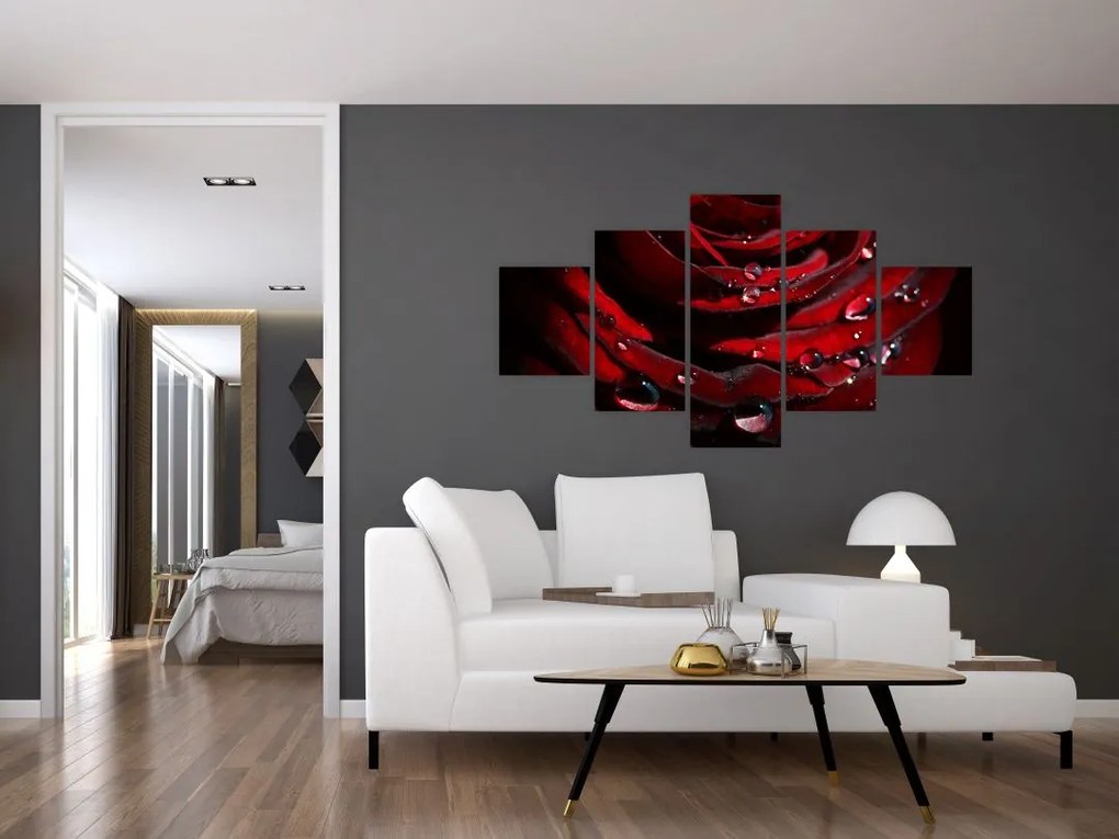 Obraz - Detal róży (125x70 cm)