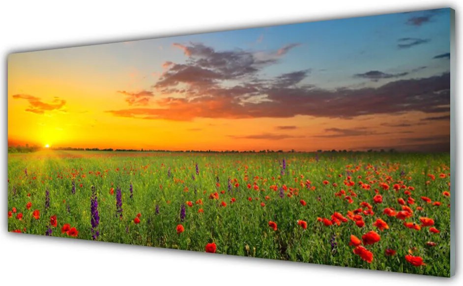Panel Szklany Słoneczna Polana Kwiatowa