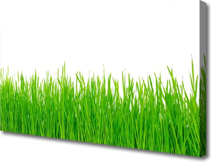 Obraz canvas na ścianę Naturalna Gęstwina Trawy