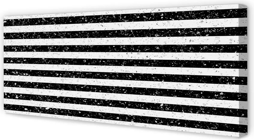 Obraz na płótnie Hybryda: Plamy i Zebra