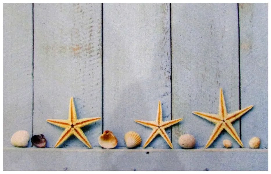 Wycieraczka Deco Star Rozgwiazdy 40 cm x 60 cm