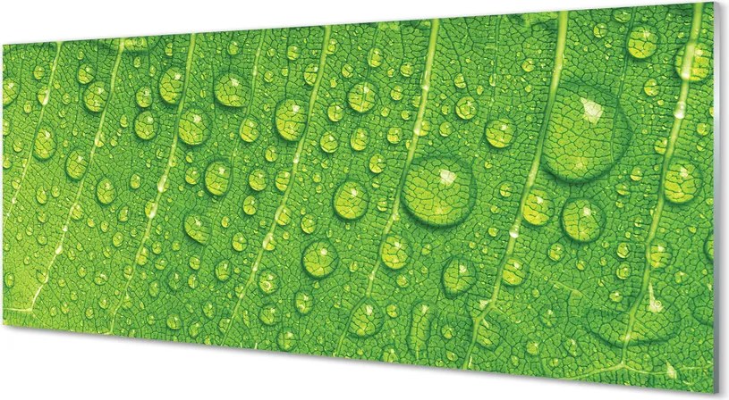 Szklany Panel Makro Detal Liścia z Rosą