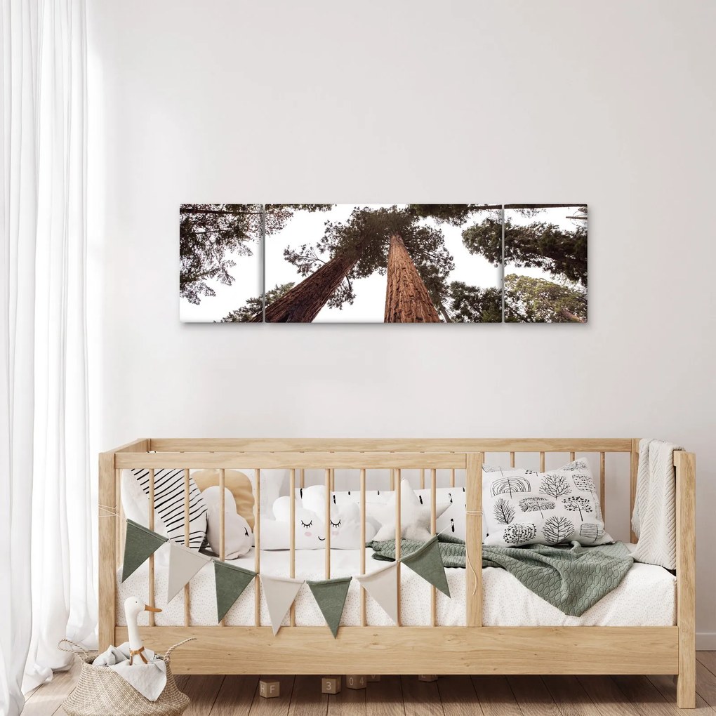 Obraz - Widok przez korony drzew (170x50 cm)